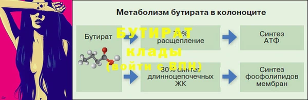 амф Гусь-Хрустальный