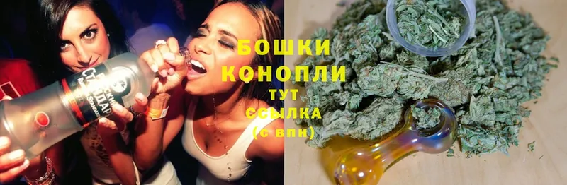 OMG ссылки  Кирсанов  Конопля план  наркошоп 